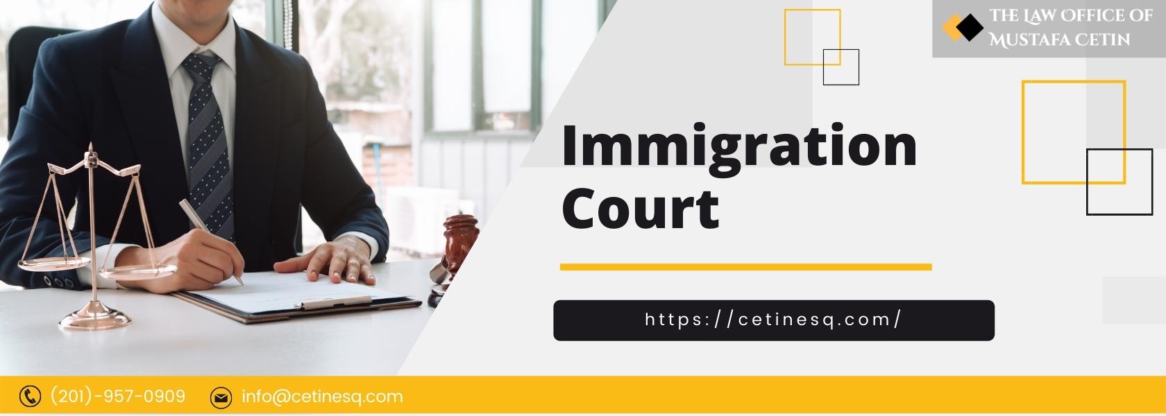 Admission, Status, Removal Proceedings, Detained and Non-detained Docket at Immigration Court