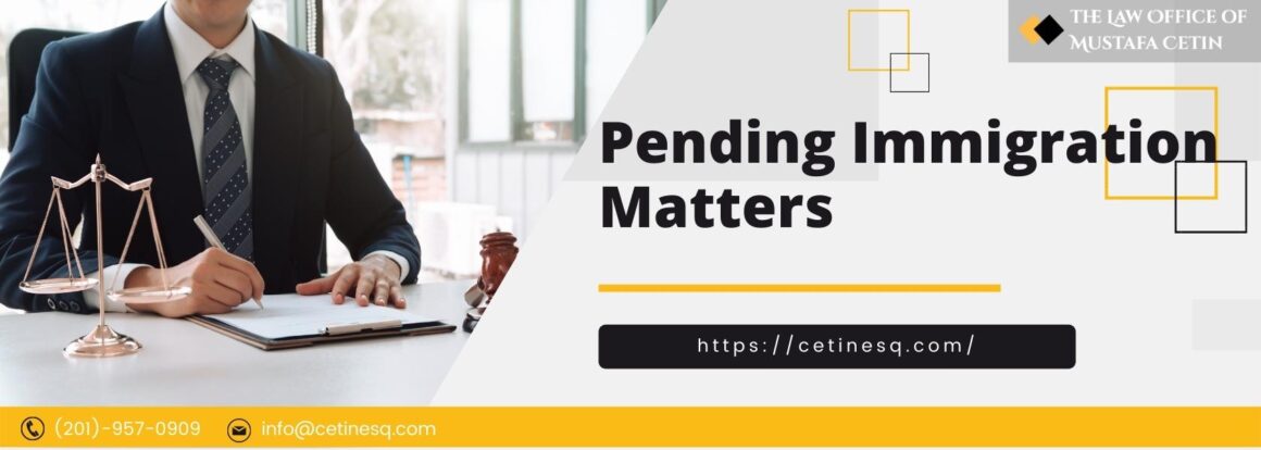 Pending Immigration Matters - Federal Court, Mandamus Relief